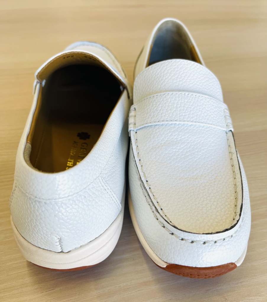 GEMMOVE Fit JGP HealthFunctional Shoes (Model: W302) – Amazing Gemma Global
